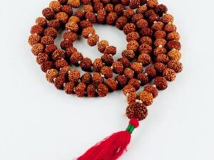7 mukhi rudraksha mala