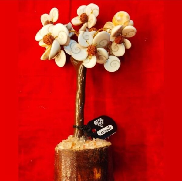 Gomti Chakra tree