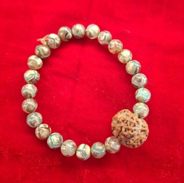 Dzi agates and Rudraksha bracelet