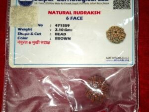 Rudraksh 6 mukhi
