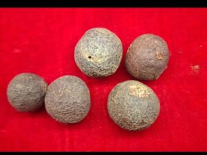 Raw rudraksh beads