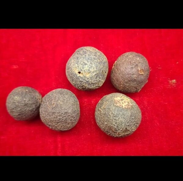 Raw rudraksh beads