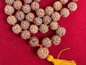 Rudraksh mala