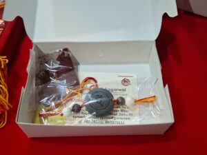 Rakhi - Raksha Sutra