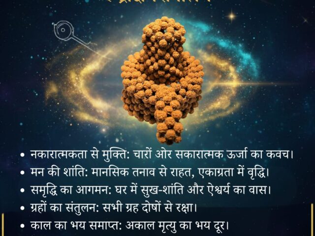 रुद्राक्ष की शक्ति : यह मूर्ति नही, उर्जा का शिखर है।